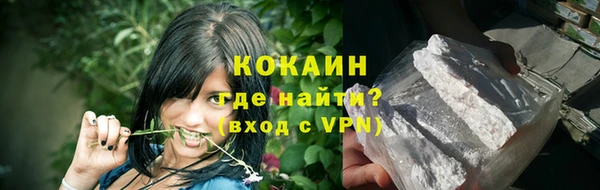 хмурый Арсеньев