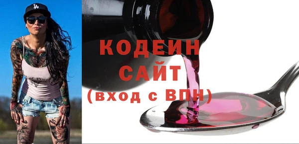 хмурый Арсеньев
