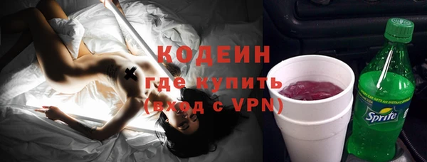 хмурый Арсеньев