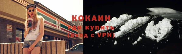 шишки Армянск