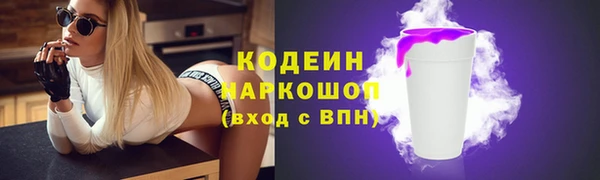 хмурый Арсеньев