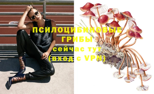 шишки Армянск