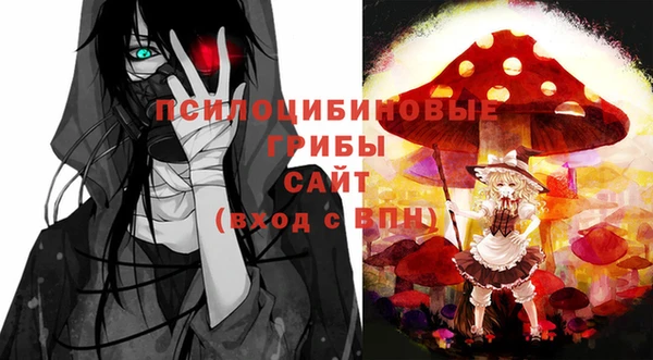 хмурый Арсеньев