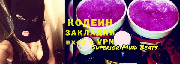 хмурый Арсеньев