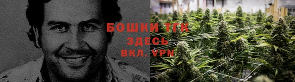 шишки Армянск